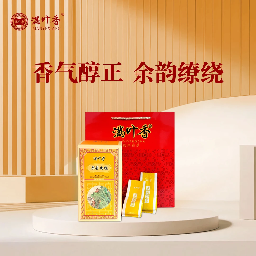 满叶香AB310武夷岩茶果香肉桂200克盒装（10克×20泡）福建大红袍