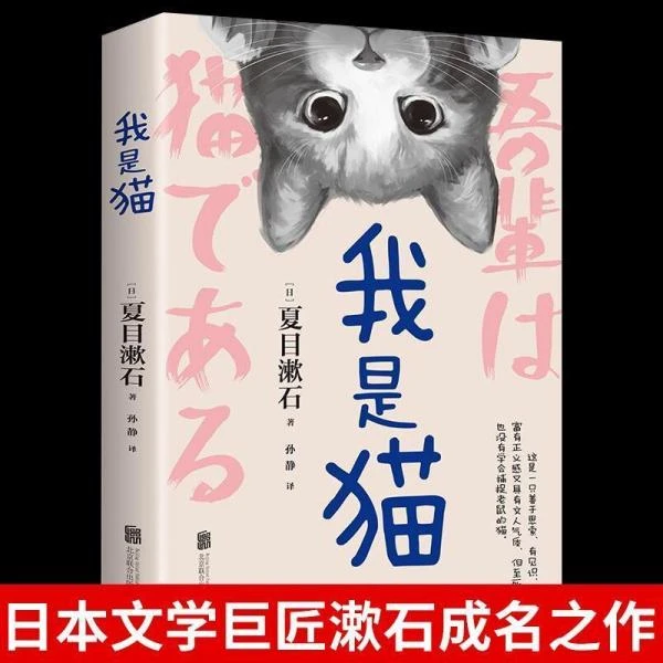 我是猫瓦尔登湖世界经典文学小说名著小王子飞鸟集新月集泰戈尔诗