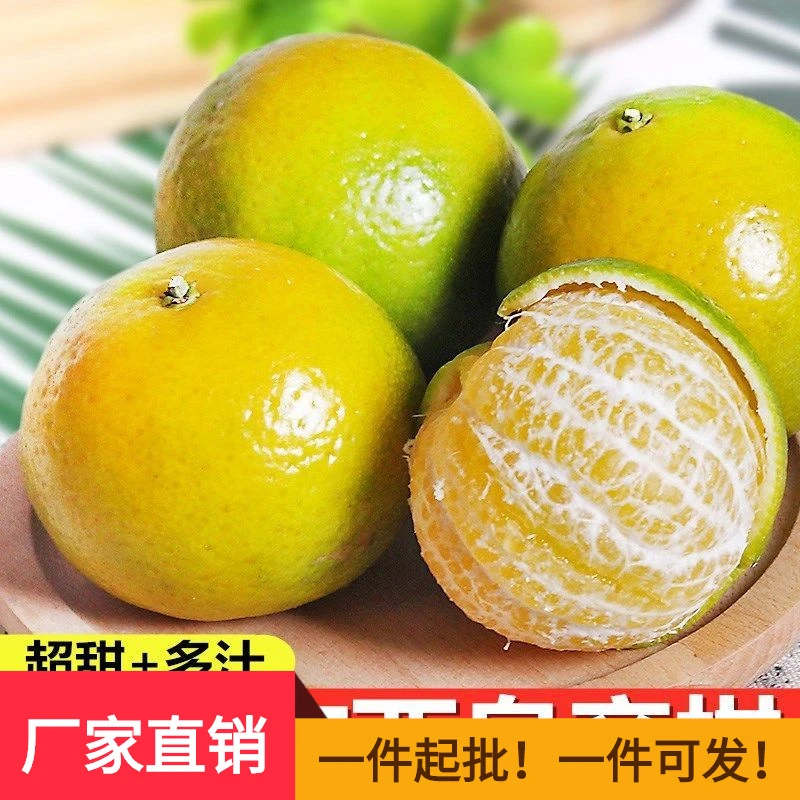 正宗广西皇帝柑沃柑新鲜水果贡柑带箱子砂糖桔沃柑橘子蜜桔子成熟