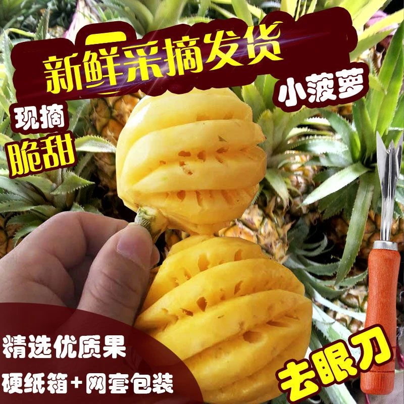 香水小菠萝新鲜水果徐闻小菠萝香甜带皮发货非去皮的爽口品种多汁