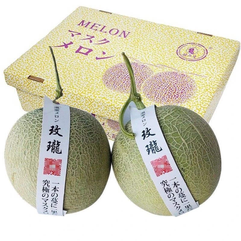 肉厚规格好吃玫珑蜜瓜带箱海南甜瓜哈蜜瓜新鲜儿童水果网纹瓜日本