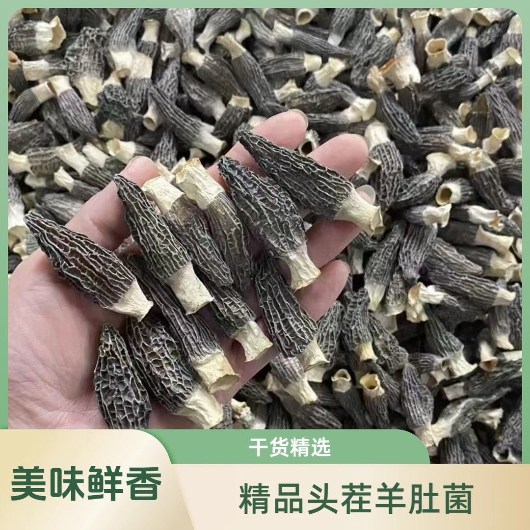 特级头茬云南高山羊肚菌干货煲汤3-5cm农产品滋补营养食用菌类