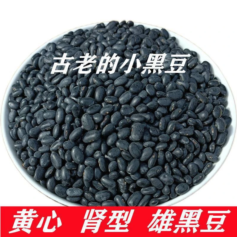 【老粉】山西五台山脚下农家肾形黄芯小黑豆营养早餐打豆浆醋泡450g