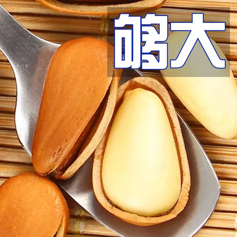 新鲜东北特产开口松子零食干果类坚果手剥松子王特大颗粒散装批发