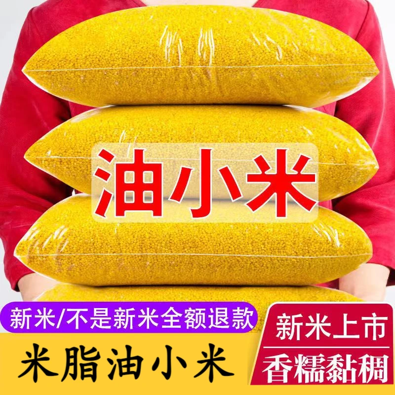 陕北米脂油小米【拍3斤送2斤】黄小米儿到手5斤·当季新米沁州黄新鲜