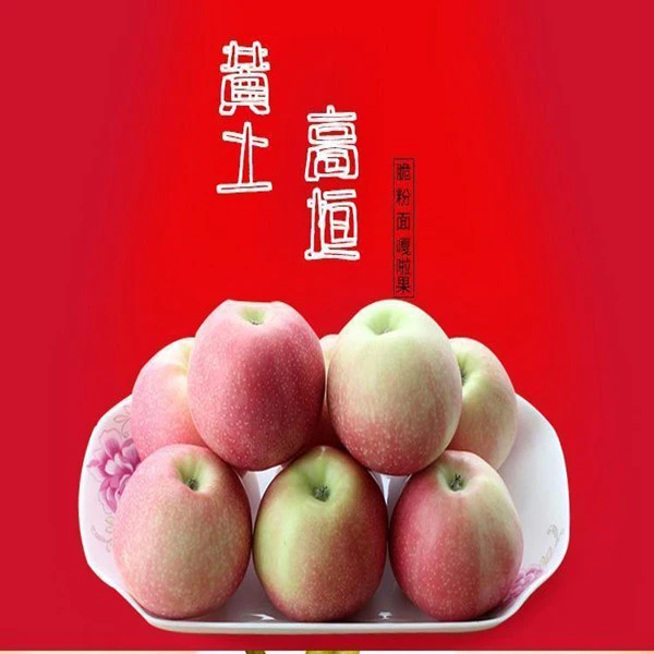2025年新鲜水果嘎啦苹果香脆脆甜现摘发货多汁色泽细腻5斤包邮