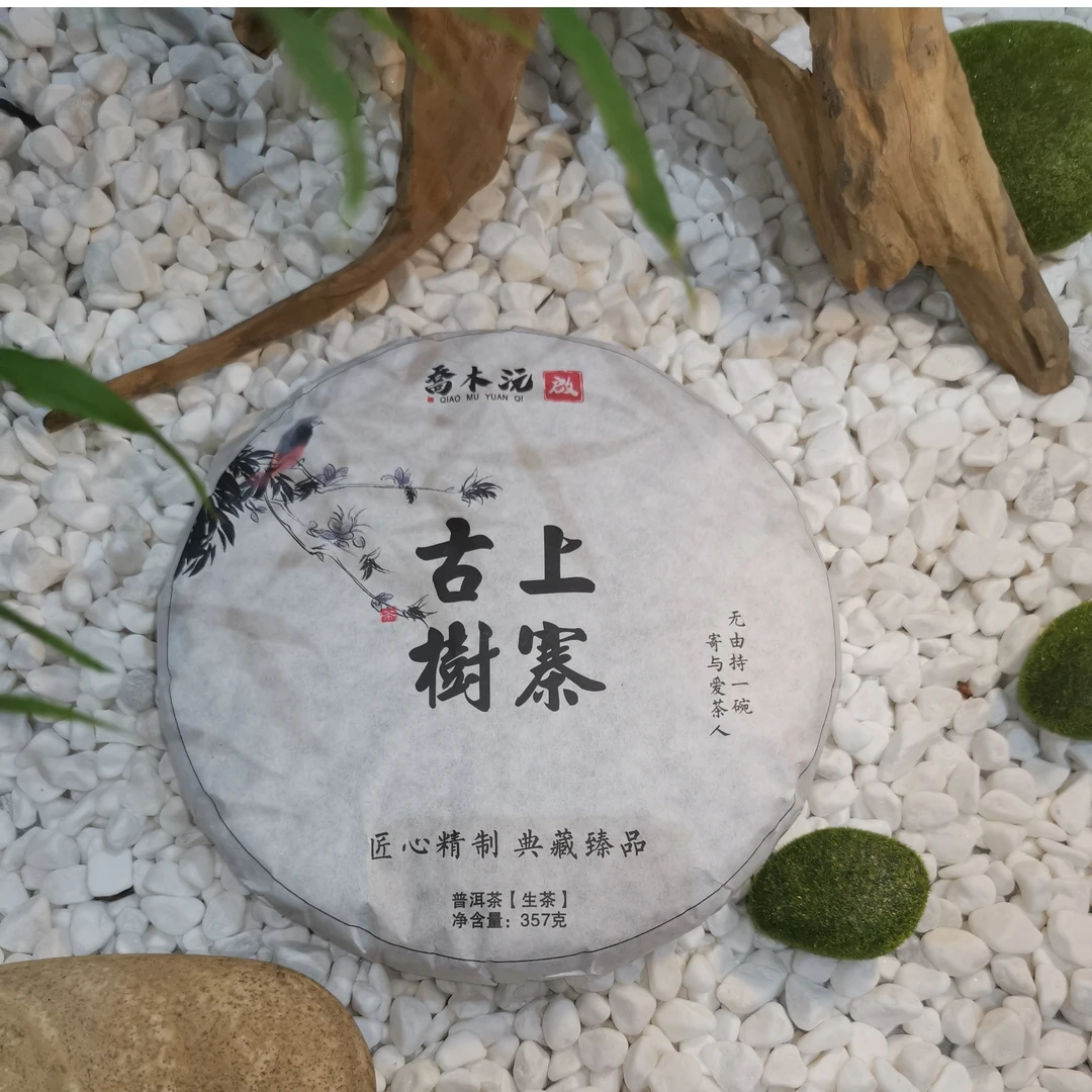 【古树普洱】上寨古树