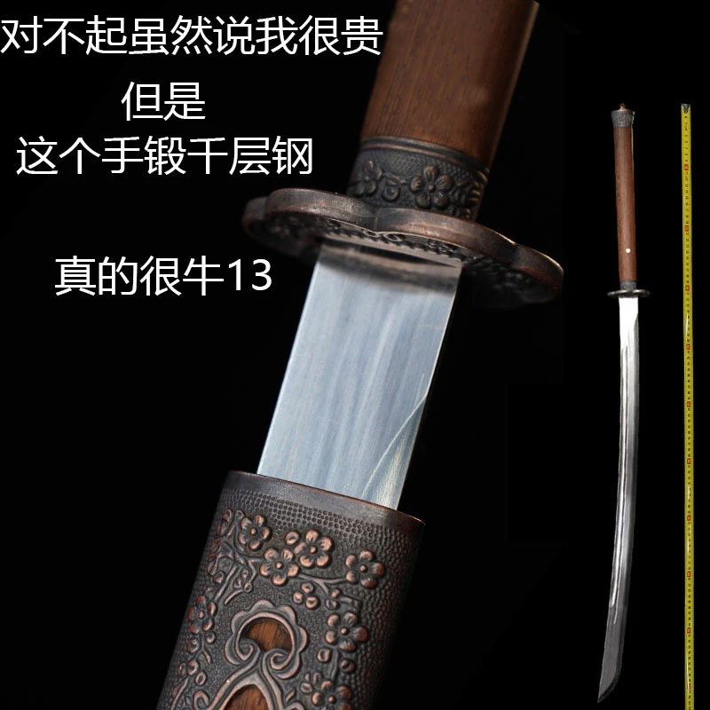 绣春刀-绣冬 龙吟 卷云龙泉镇宝剑一体花纹钢冷兵器刀剑未开刃