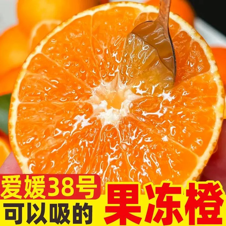 四川眉山爱媛38号果冻橙净重5斤8斤产地直发坏果包赔