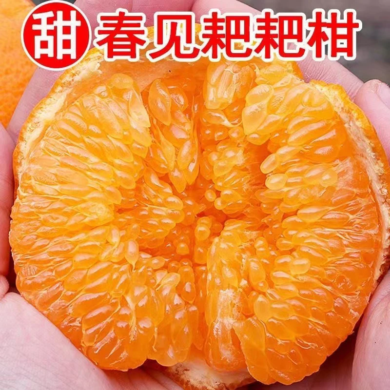 【京东快递】四川眉山正宗春见耙耙柑净重5斤，8斤装产地京东发货