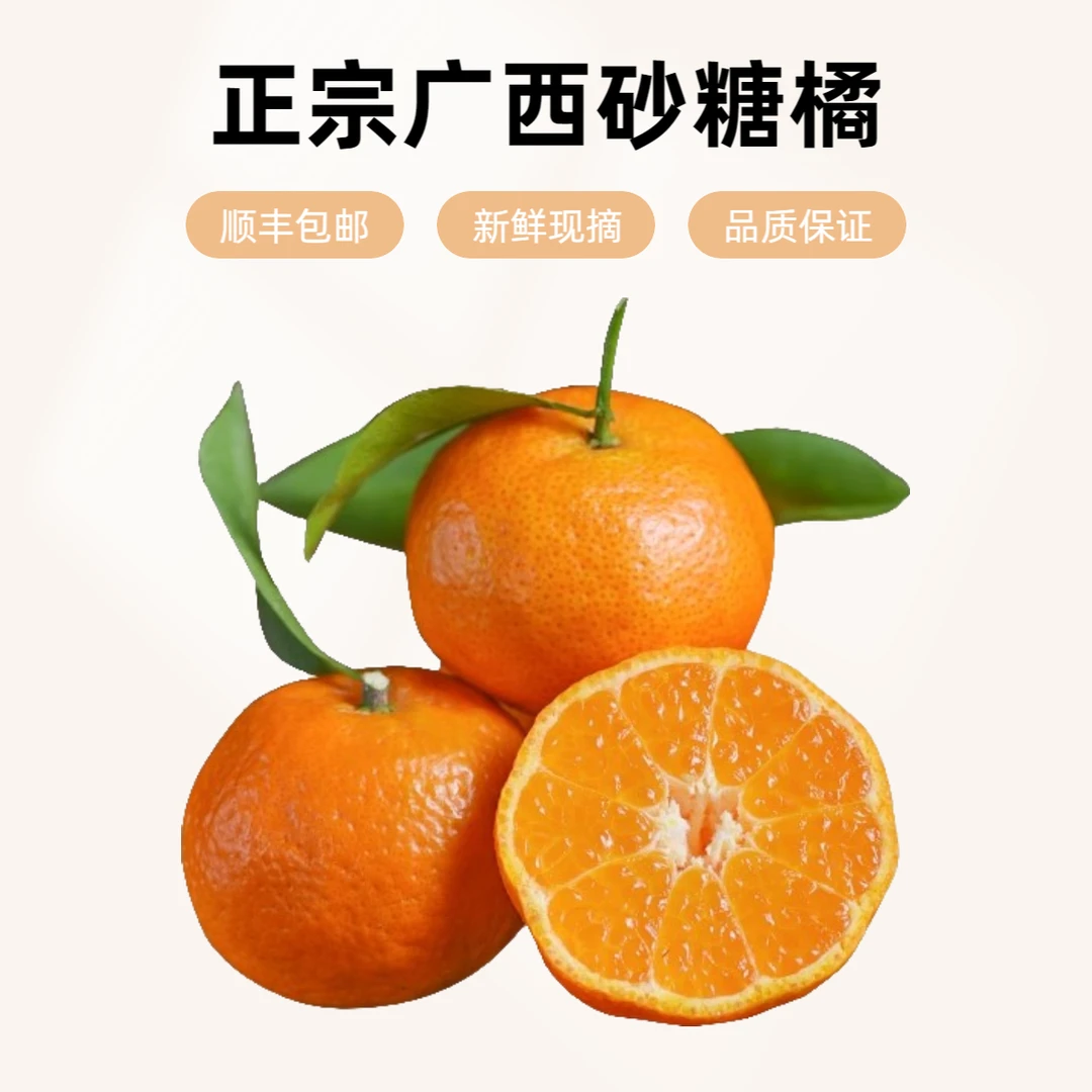 正宗广西砂糖橘新鲜水果金秋蜜桔无籽小沙糖桔子整箱礼盒顺丰包邮