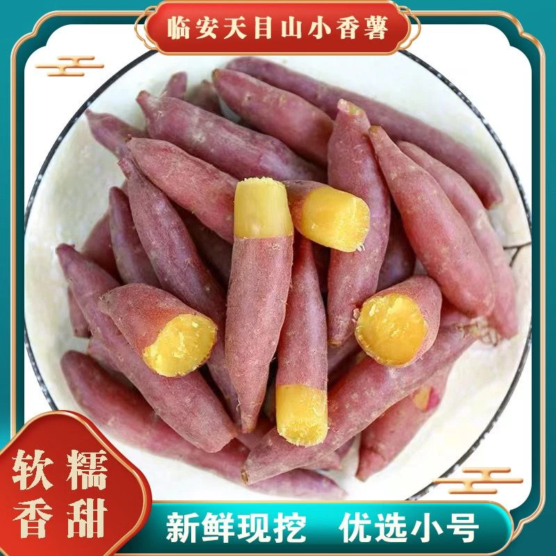 新鲜优选临安天目山小香薯金手指美味板栗黄心皮薄红薯2/5/9斤