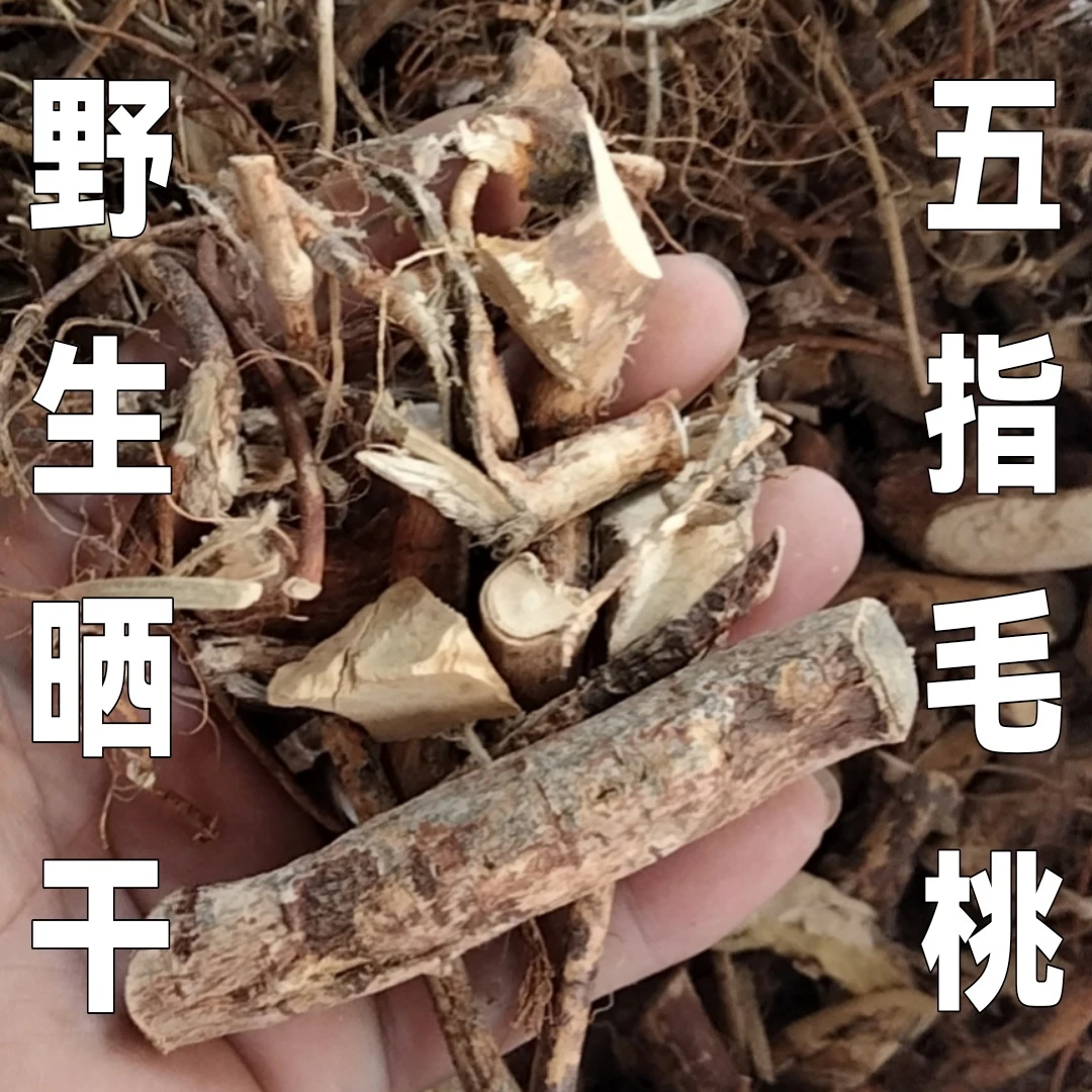 广东清远野生五指毛桃五爪金龙煲汤汤料500g包邮