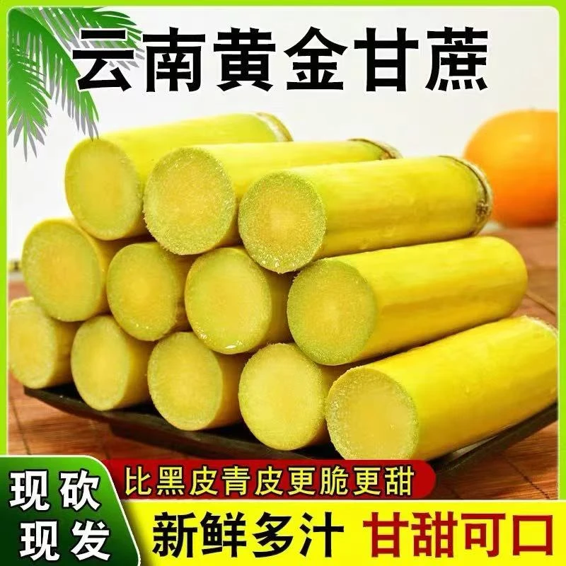 【直播专属】云南黄金甘蔗现砍新鲜应季农家薄皮清甜多汁黄皮甘蔗