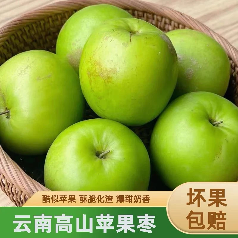 大果云南西双版纳苹果枣新鲜采摘纯甜爆甜多汁