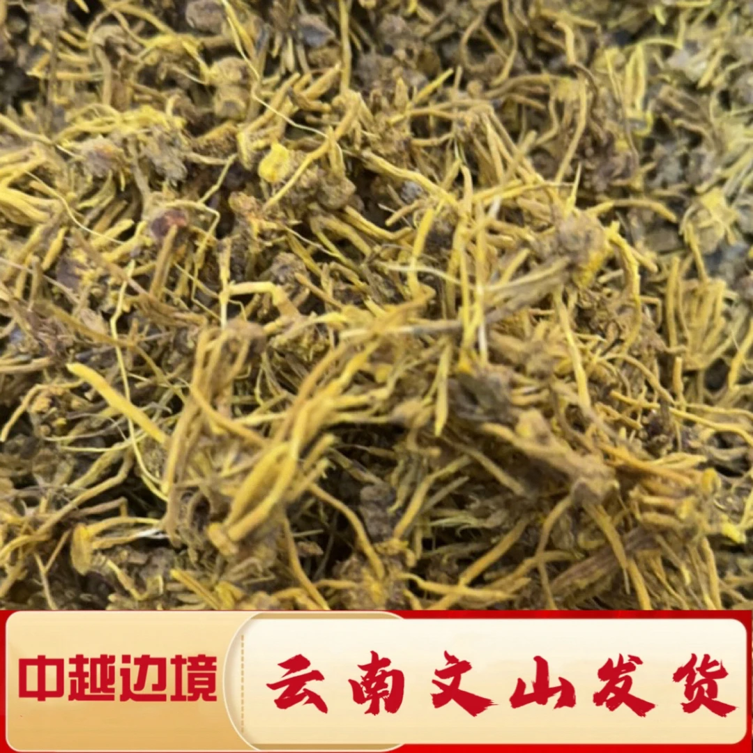 一村一品一精选金龙草