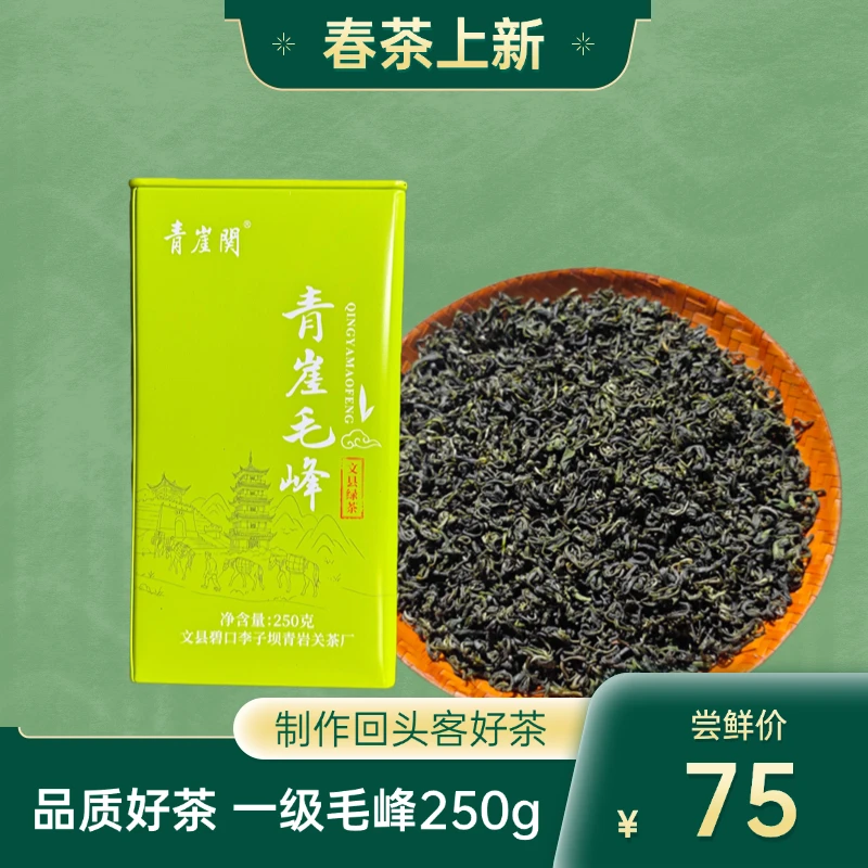 青崖関甘肃陇南绿茶青崖毛峰毛尖李子坝绿茶青崖关茶业高山