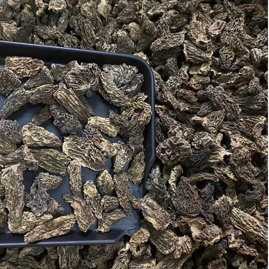 【飞飞精选】西藏大自然野嘢羊肚菌 香味浓郁-山药