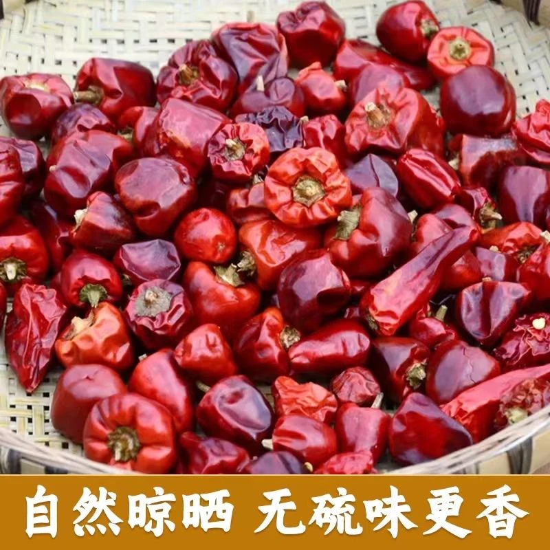当季新灯笼椒香辣微辣辣椒火锅干锅专用提香草莓椒涮菜干辣椒不辣