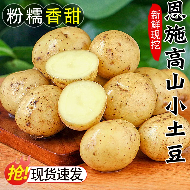 恩施小土豆现挖湖北新鲜黄心土豆3/5/9斤当季蔬菜迷你马铃薯洋芋