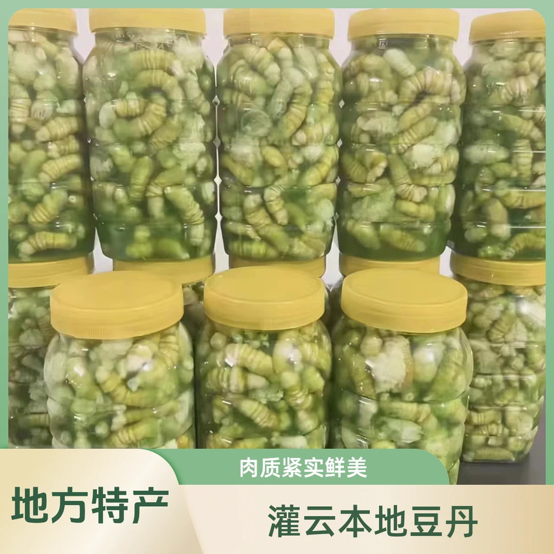 灌云豆丹苏北特产连云港特产豆丹豆丹虫新鲜现擀江苏豆丹豆虫1斤