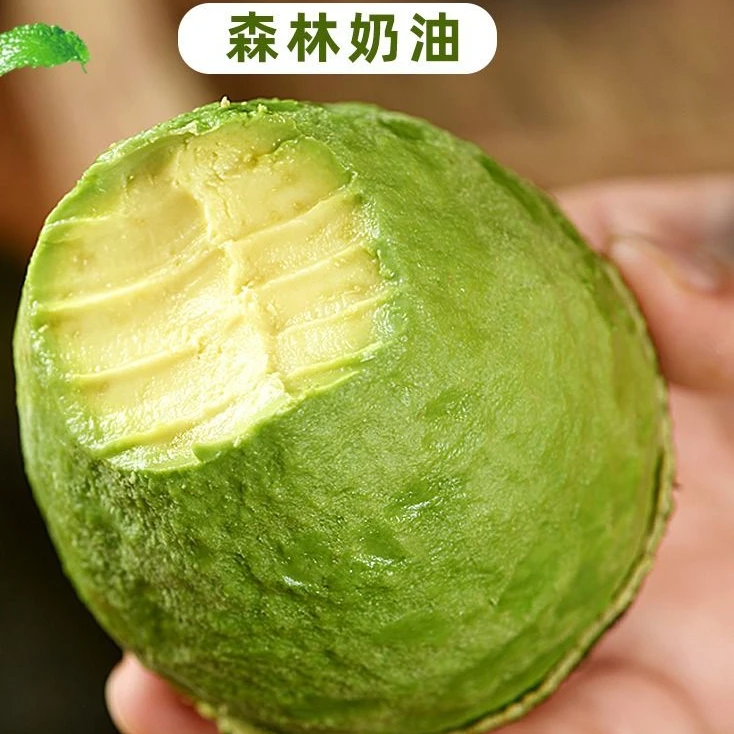 【秘鲁】牛油果进口鳄梨新鲜水果辅食大果即食