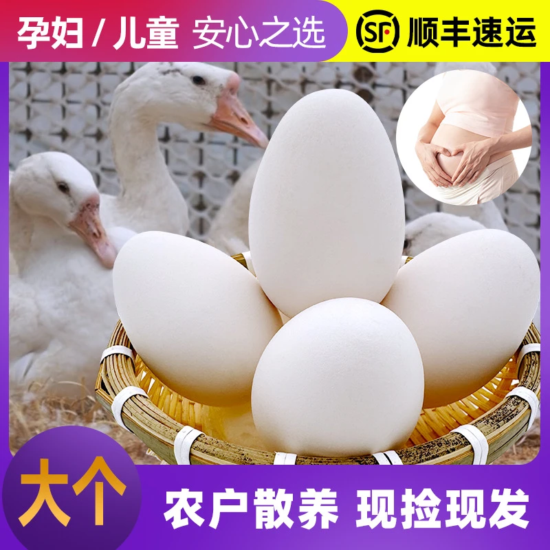 东北土鹅蛋双黄蛋145-200g,当天捡当天发保证新鲜