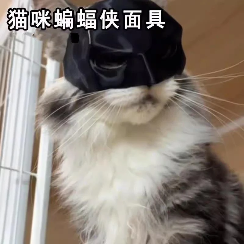 ++猫咪蝙蝠侠面具网红3d打印狗狗搞笑头套小狗猫猫头饰创意宠物面