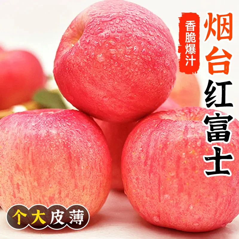 山东烟台红富士苹果 当季水果 净重4.5-5斤