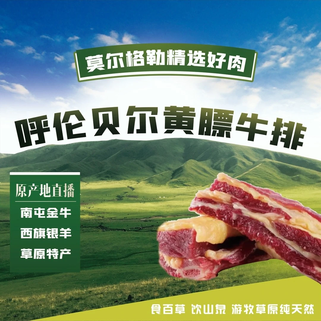原切牛排呼伦贝尔草地天然有机黄膘牛排5斤牛肉2斤