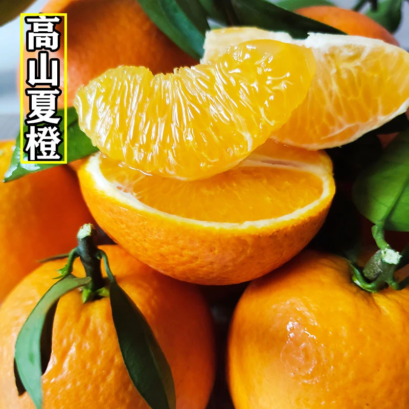 广西桂林夏橙榨汁橙子应季新鲜水果酸甜可口橙子3斤/5斤/9斤