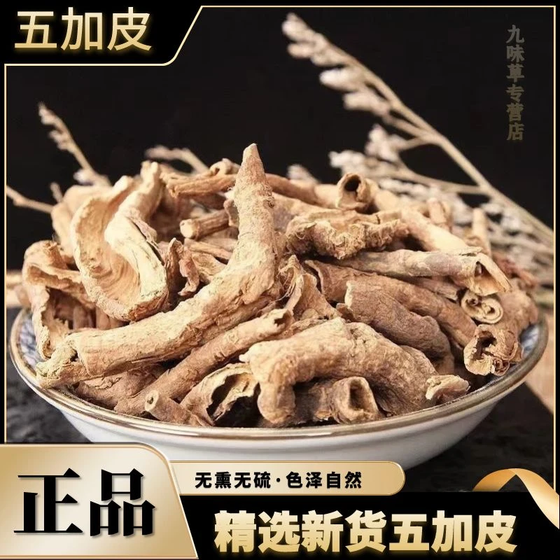 精选五加皮正品正宗野生五谷皮干五加皮根片新货250g500g另售杜仲