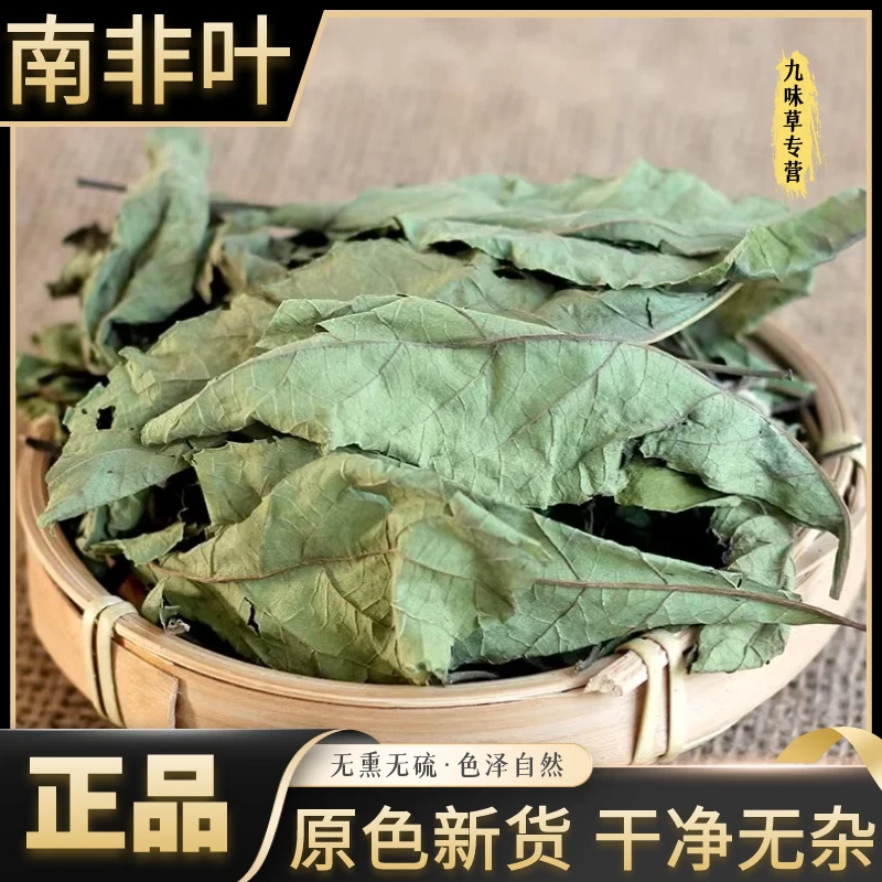 正宗南非叶苦叶茶将军叶扁桃斑鸠菊新晒干货正品另有芦荟泡水泡茶