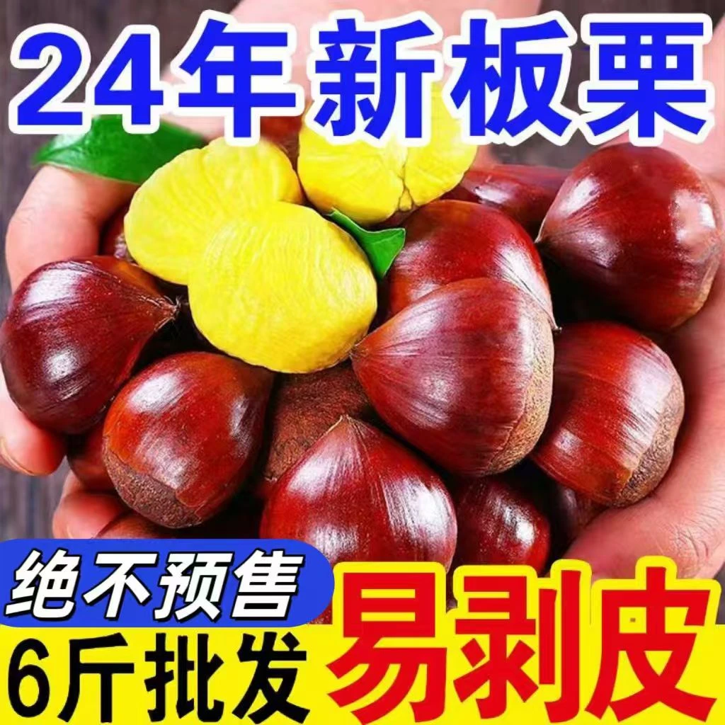 极易剥皮】2024现摘新鲜板栗生栗子新鲜野生栗非油栗锥栗蔬菜批发