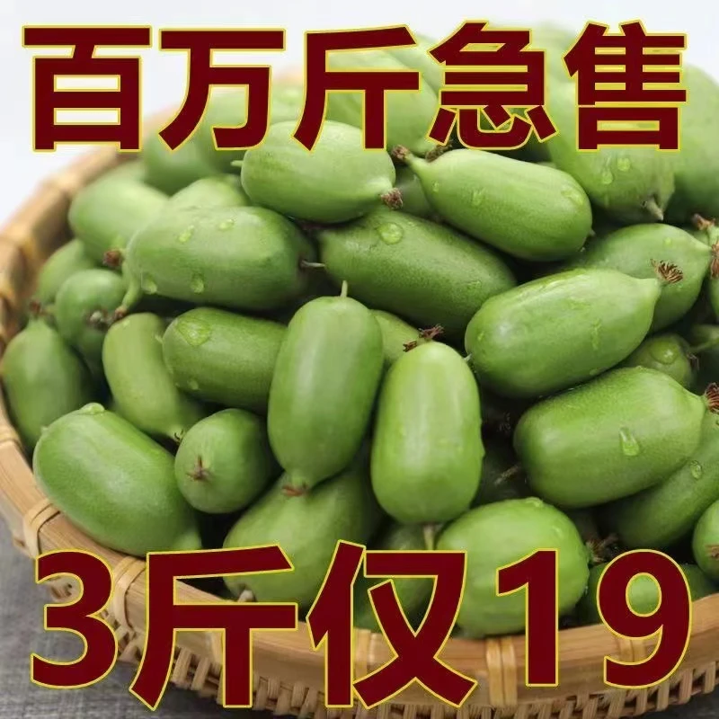 顺丰（坏果包赔）丹东软枣猕猴桃东北圆枣子奇异莓大果新鲜水果包邮