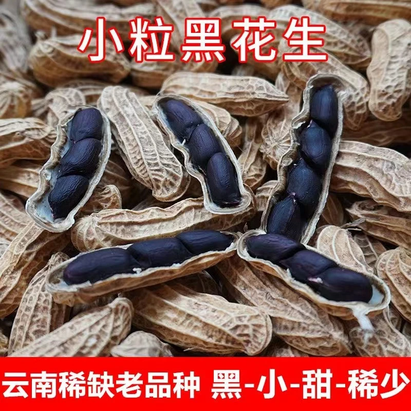 云南高原山货黑花生 粒农产品
