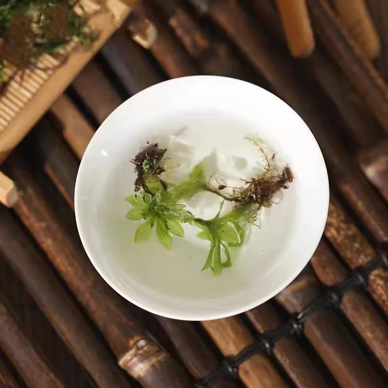 云南高原山货回，芯，草农产品