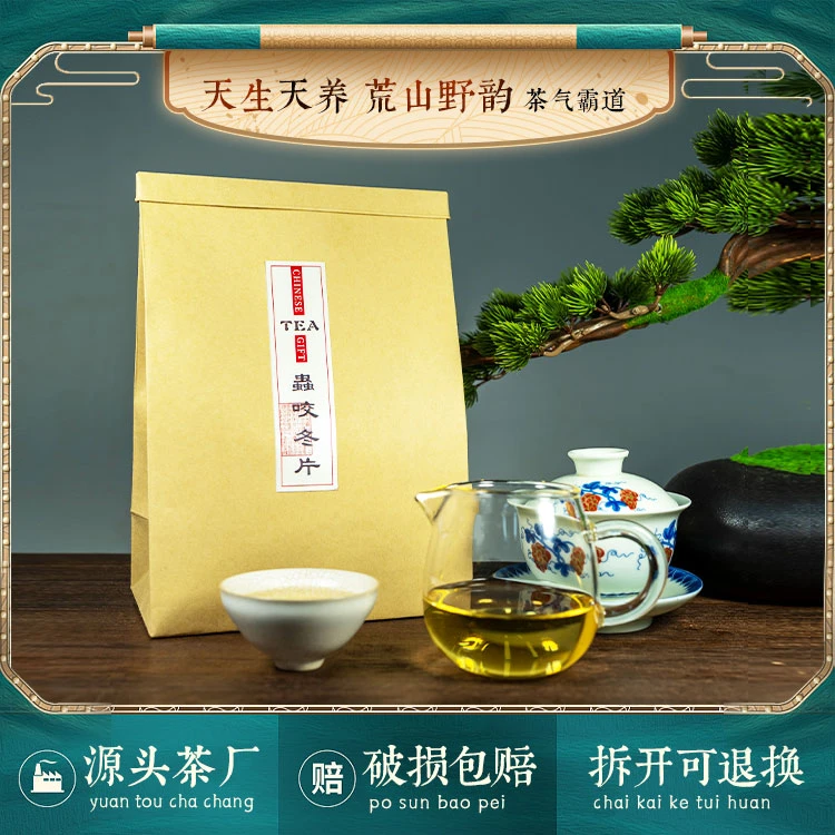 虫咬冬片茶 叮咬后的茶叶 发酵产生富有层次的蜜果香和醇甜的口感