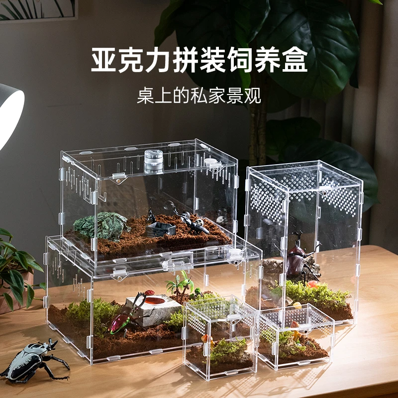 甲虫饲养盒高清亚克力亚克力透明箱造景灯蜗牛角蛙独角仙幼虫盒子