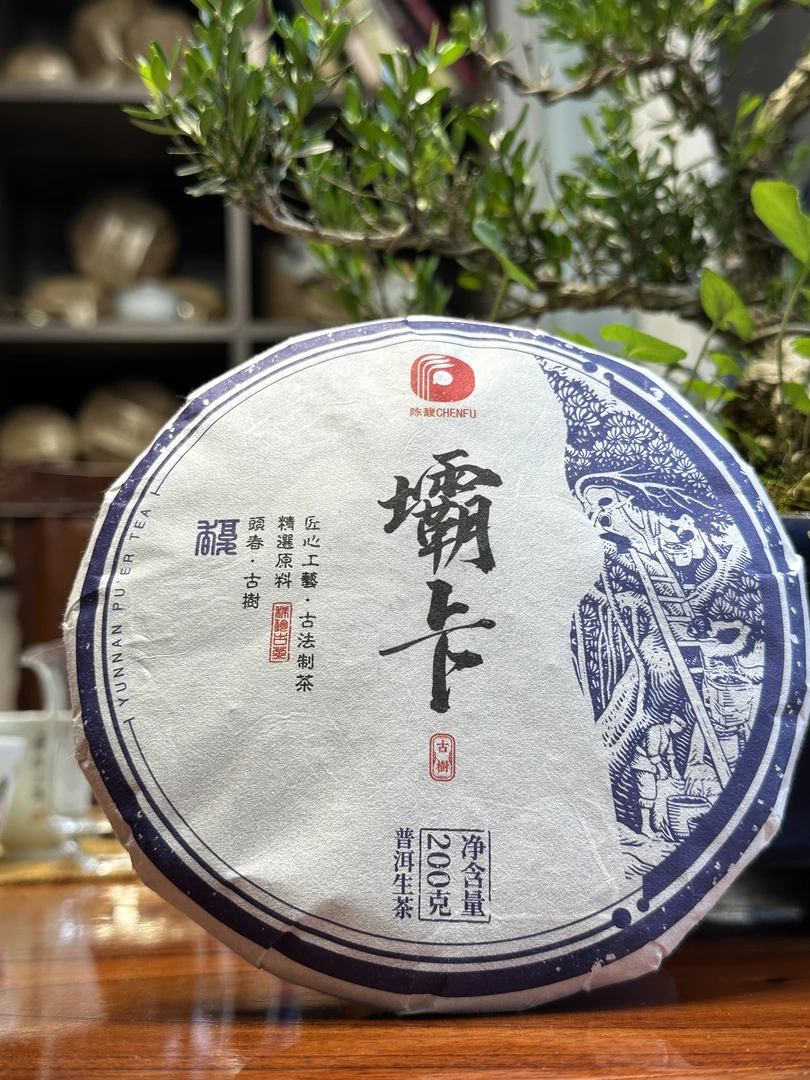 2024头春坝卡古树- 陈馥古茶普洱茶生茶兰花香