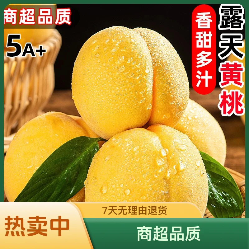 现摘黄桃酸甜可口自家种植当季水果包邮送好礼好吃包赔多汁鲜嫩
