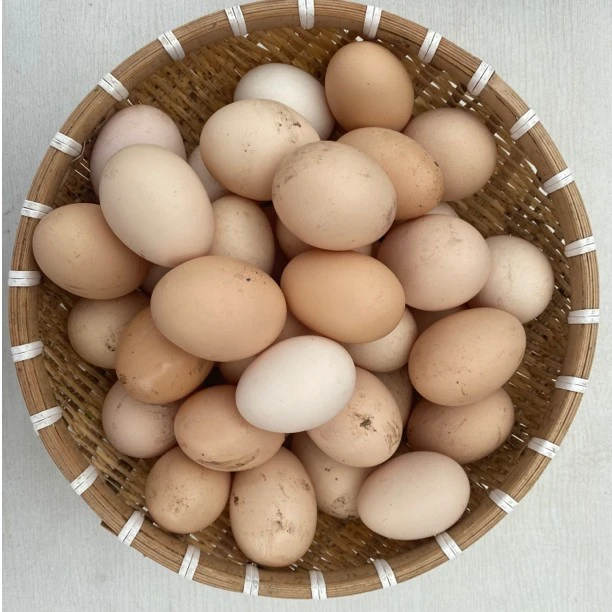 四川广安农家土鸡蛋新鲜现捡现发（土鸡蛋大小不一慎拍）