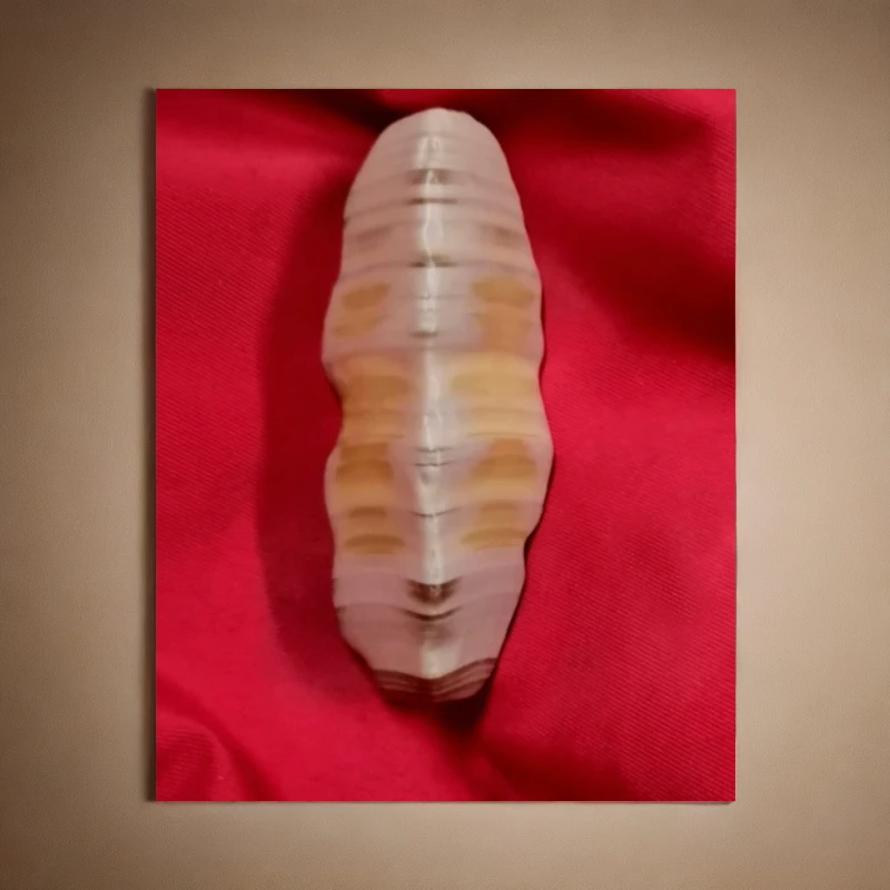 戈壁石 碧玉 三生佛