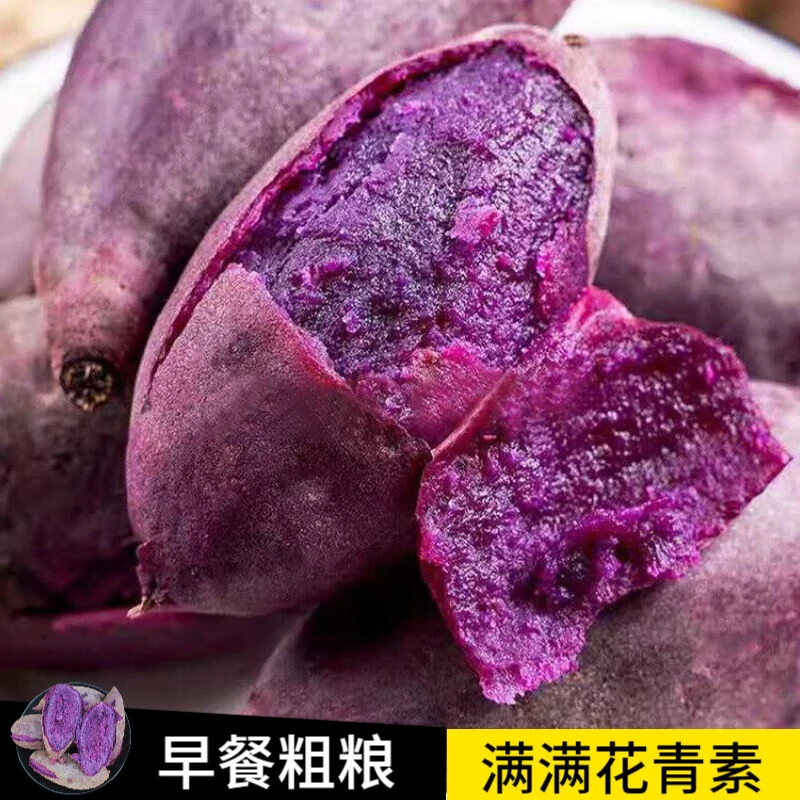 新鲜紫薯当季精品紫薯地瓜 软糯香甜健康轻食生鲜蔬菜 【现挖现发】