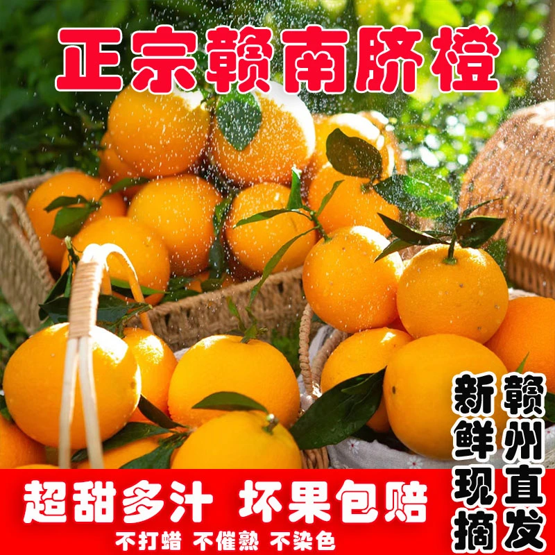【新鲜现摘产地直发】正宗赣南脐橙江西赣州孕妇新鲜当季精品水果