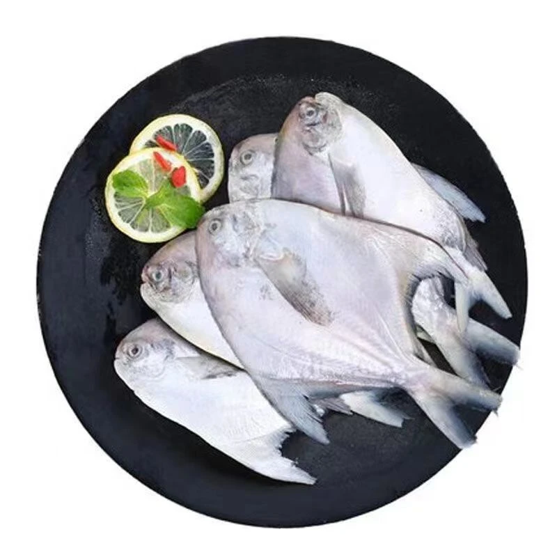 【一霏】新鲜速冻银鲳鱼5斤装 1斤5-6条 鲜嫩鲳鱼袋装共25-30条