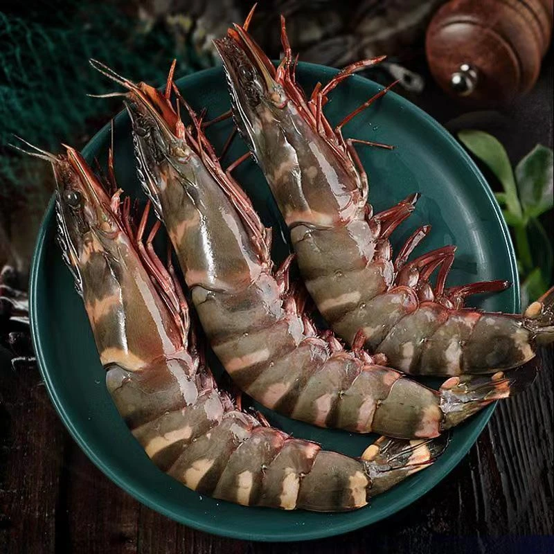 【一霏】红虎虾2斤15只左右 老虎虾斑节虾海鲜水产礼品