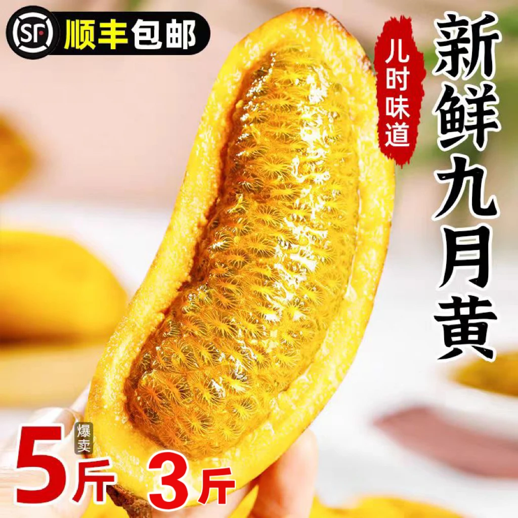 5斤【顺丰包邮】九月黄九月瓜新鲜水果牛卵坨拿藤果麻藤包野香蕉