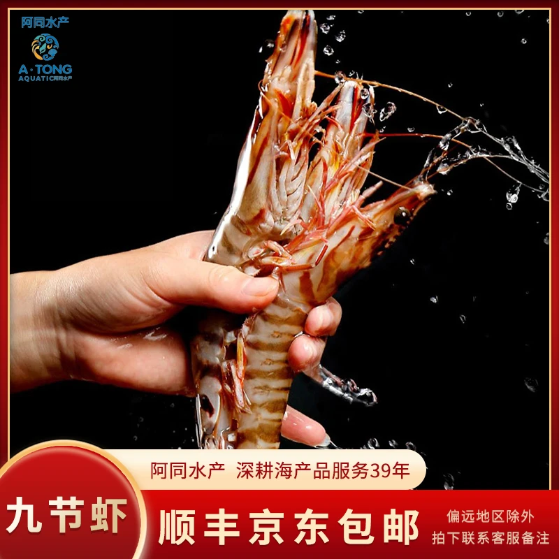 【阿同水产】新鲜九节虾斑节虾基围虾 肉质鲜嫩直播间现称