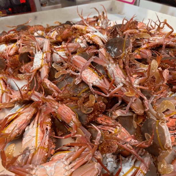 红毛丹蟹鲜甜肉嫩直播间现场称重